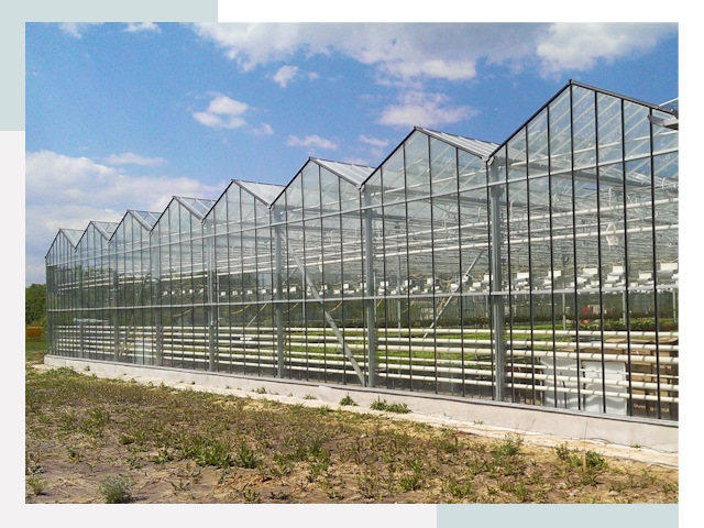 Строительство теплиц в Прокопьевск от 620 руб. за м²